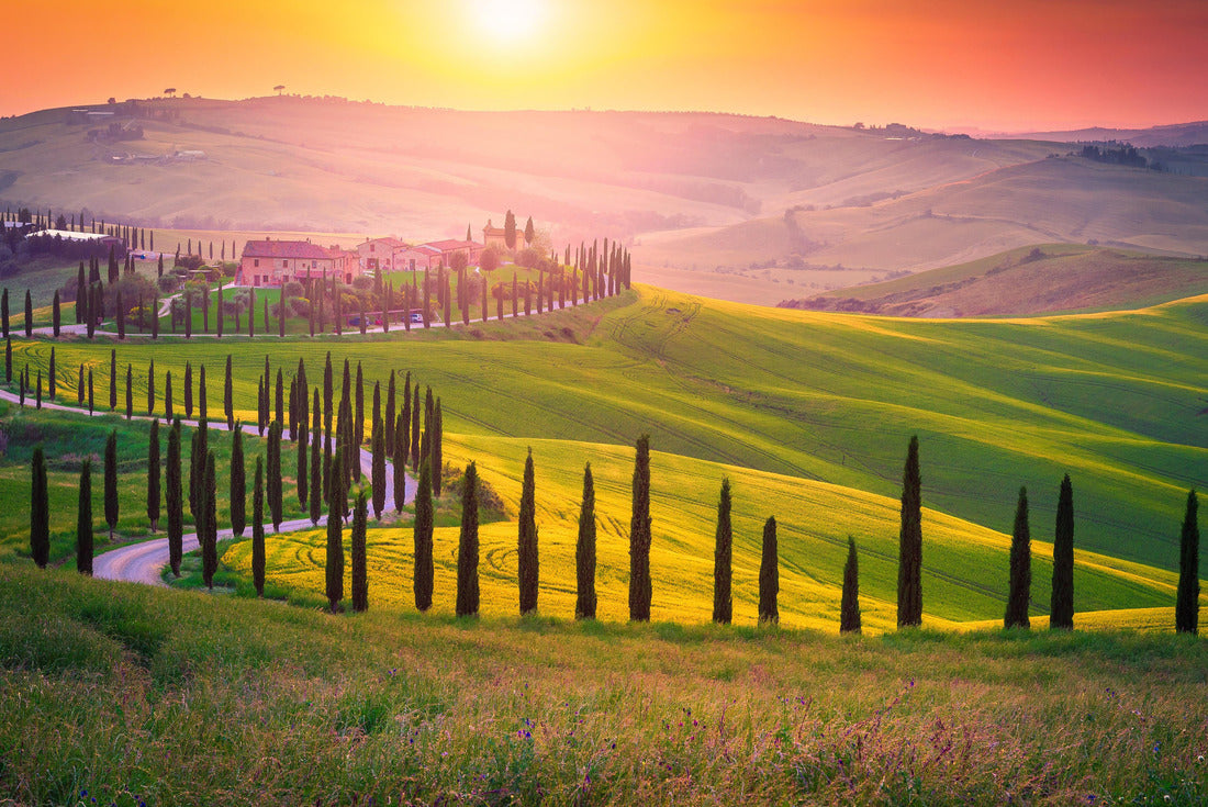 Well-known Tuscan landscape with grain fields, cypress trees and houses on the hills at sunset. Summer landscape with winding road in Tuscany, Italy 2000pc Puzzle