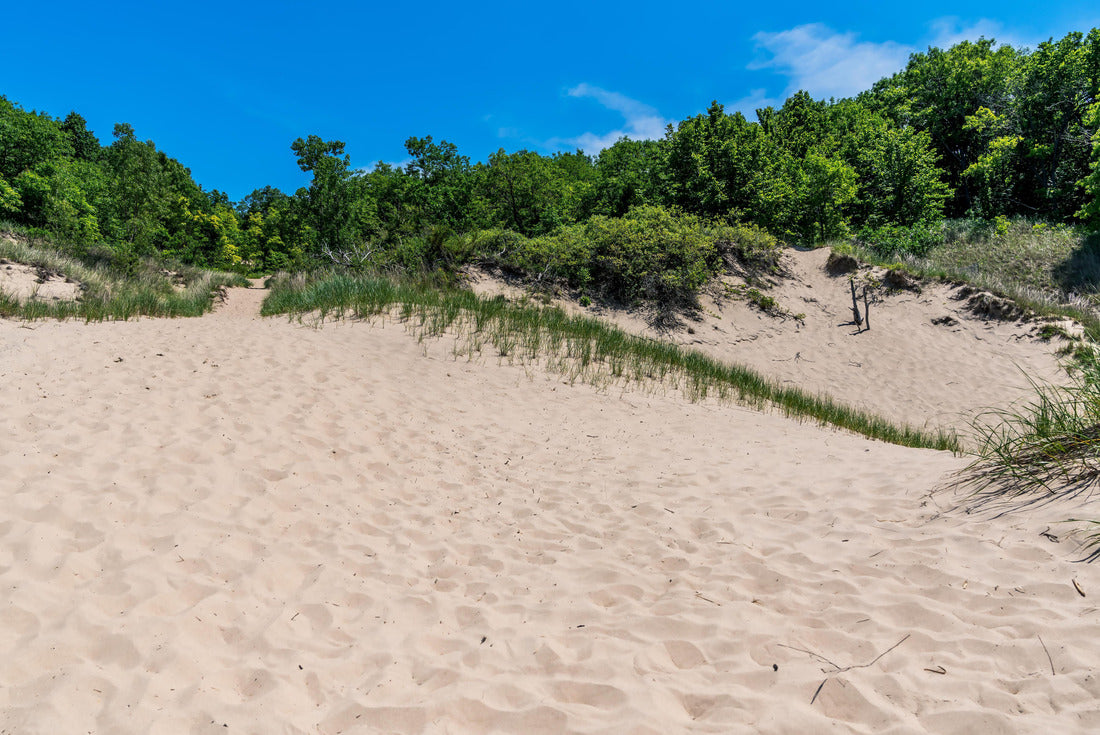 Indiana Dunes State Park near Porter, Indiana, USA 2000pc Puzzle