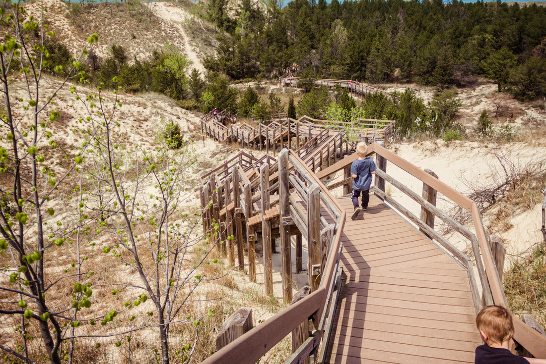 Boardwalk steps down a dune at Indiana Dunes National Park 2000pc Puzzle