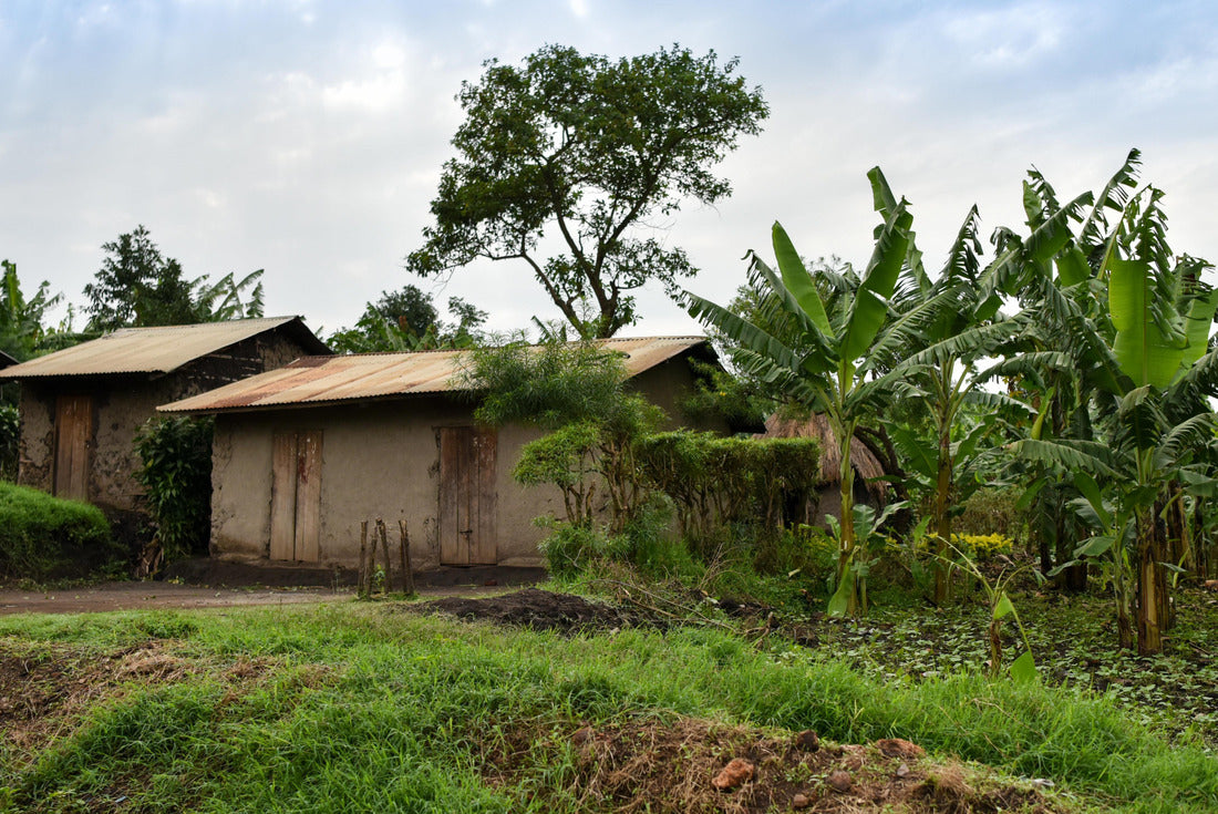 House and Banana Plantation in Rural Uganda 2000pc Puzzle