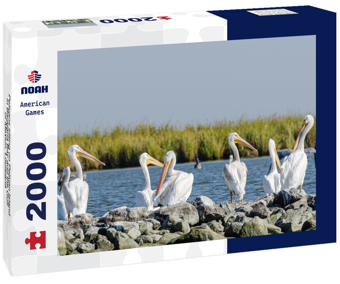 Pelicans sitting on Pelican Island in Barataria Bay and the Gulf of Mexico, Louisiana 2000pc Puzzle