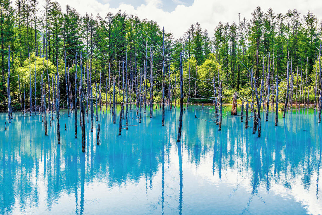 Noah Jigsaw Puzzle Blue Pond in summer, near Patchwork Road, near Town, Hokkaido, Japan 2000 pieces