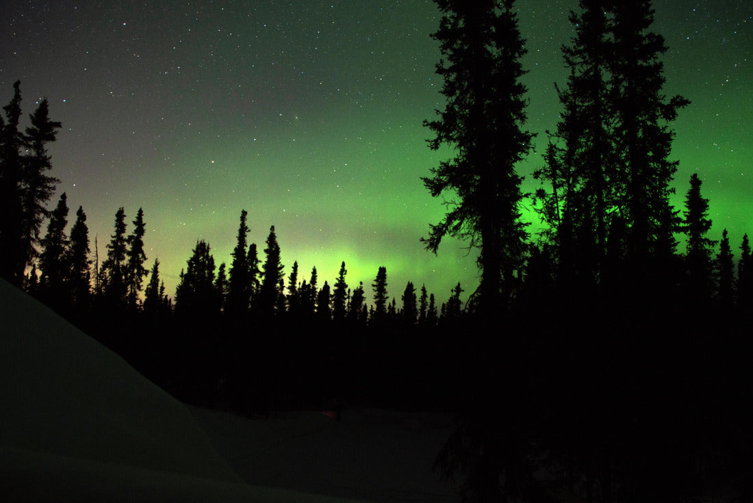 Noah Jigsaw Puzzle Aurora Borealis in North Star Borough of Fairbanks, Alaska - Harding Lake, Salcha 2000 pieces