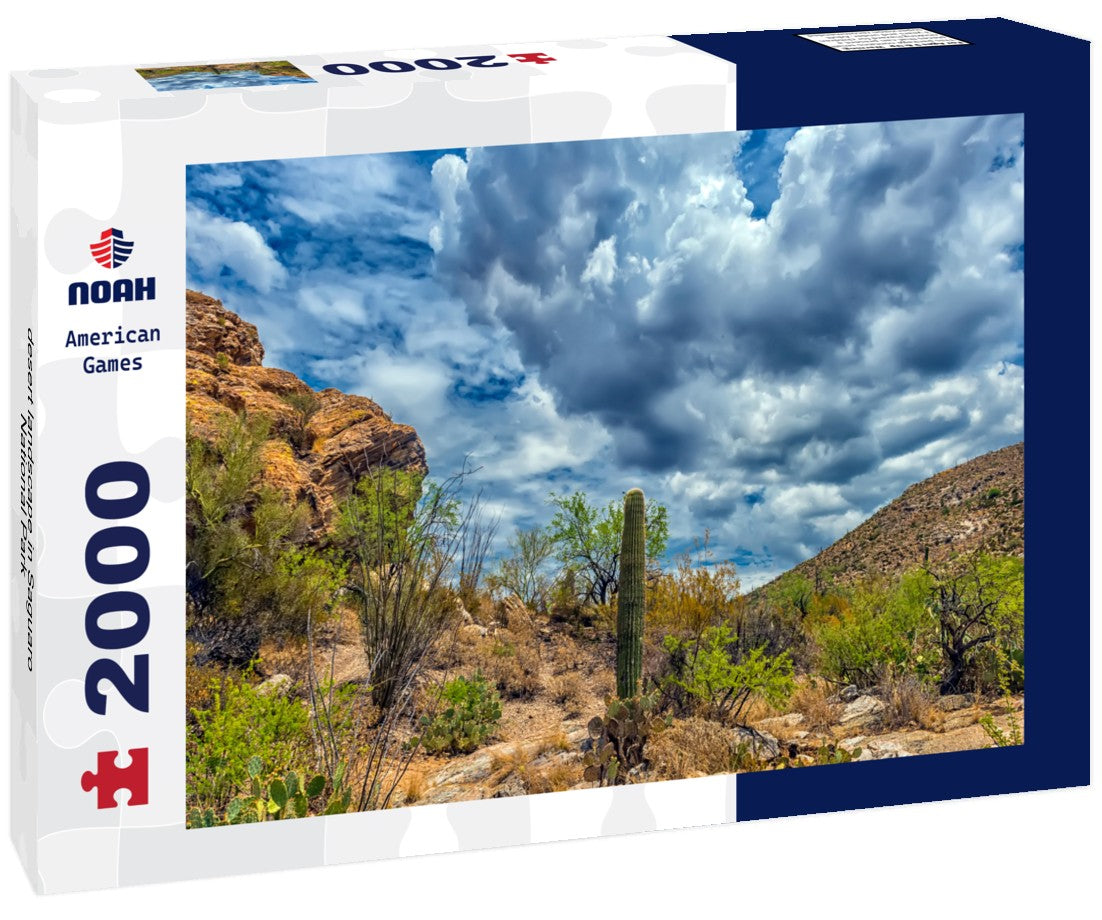 Noah Jigsaw Puzzle desert landscape in Saguaro National Park 2000 pieces