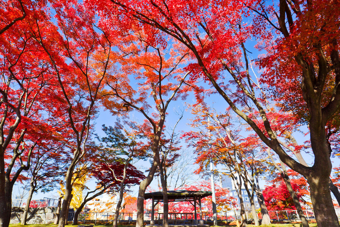 Morioka Castle Park in autumn, Morioka city, Iwate, Japan 2000pc Puzzle