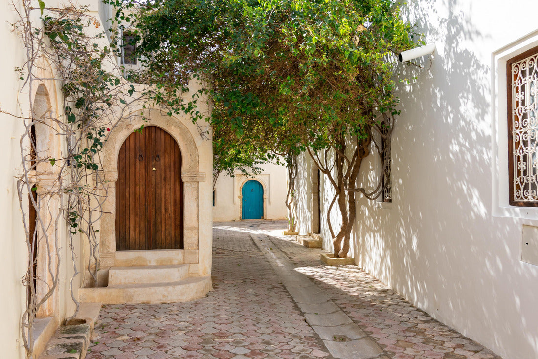 Noah Jigsaw Puzzle Streets of Erriadh, traditional Tunisian village with colorful doors, Djerba 2000 pieces