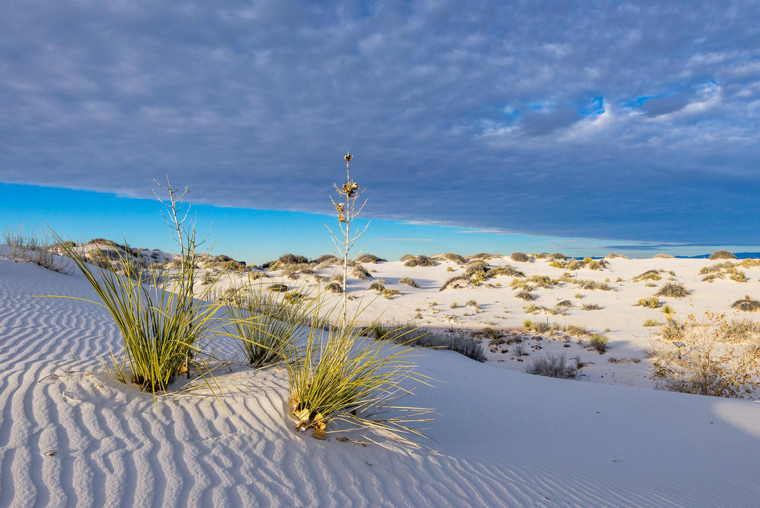 Sunset in White Sands National Park 2000pc Puzzle