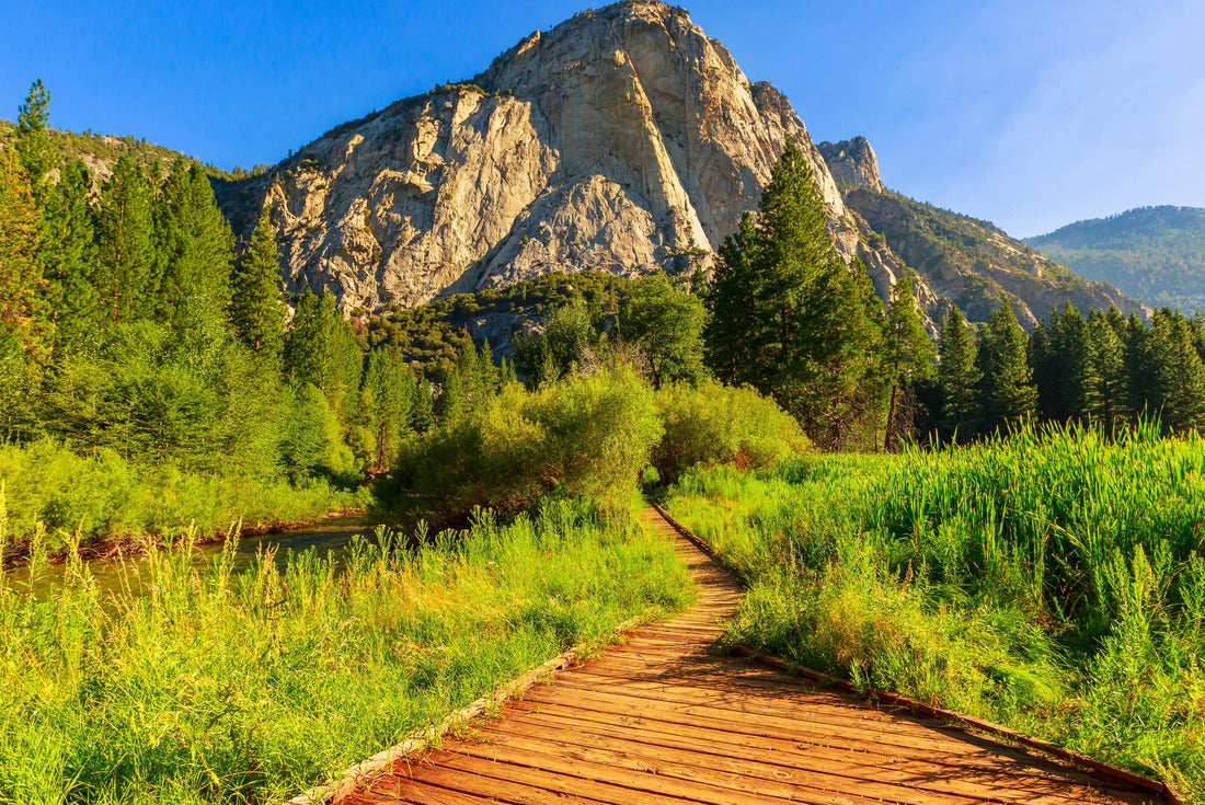 Noah Jigsaw Puzzle Panorama of Zumwalt Meadows hiking in Kings Canyon National Park, a large grassland in the forest with wildflowers with the surrounding towering cliffs of Kings Canyon 2000 pieces