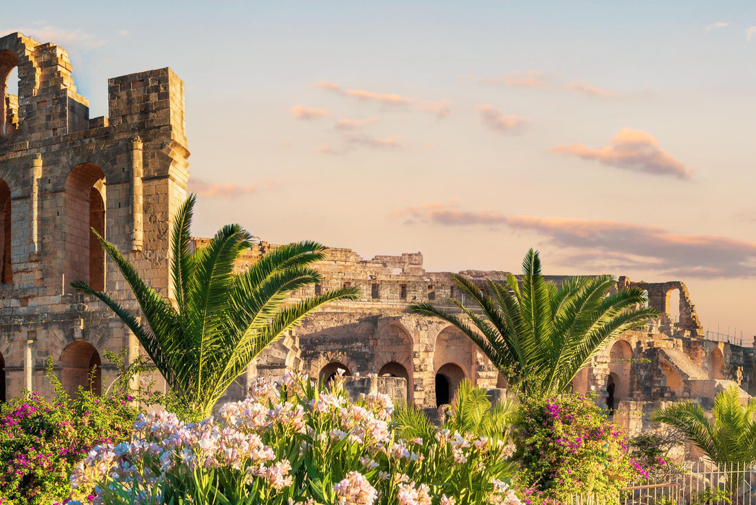 Noah Jigsaw Puzzle Panoramic view of the Roman amphitheater in El Djem. Tunisia 2000 pieces