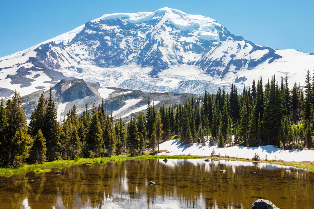 Noah Jigsaw Puzzle Mount Rainier national park, Washington 2000 pieces