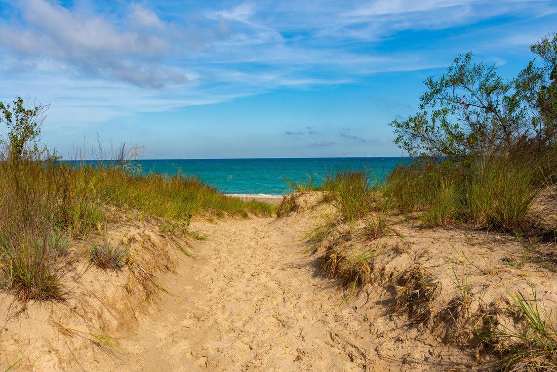 Pathway to Kemil Beach on a beautiful September morning. Indiana Dunes National Park, Indiana, USA 2000pc Puzzle