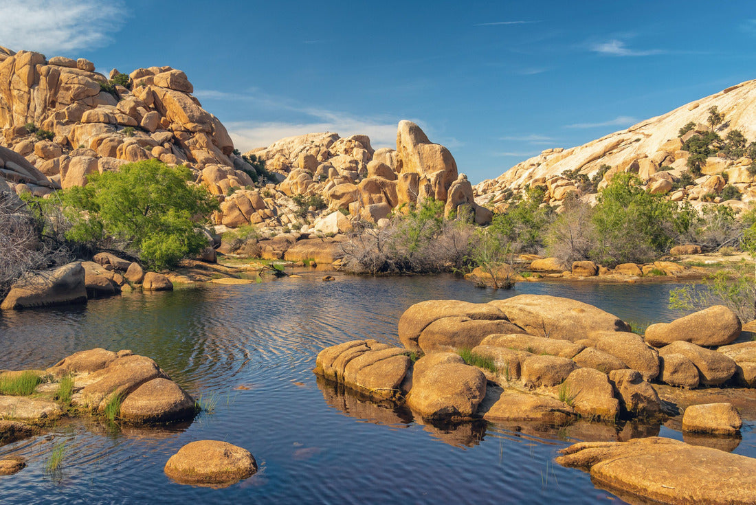 Joshua Tree National Park, California. The wonderland of rocks and reservoir above the Barker Dam 2000pc Puzzle