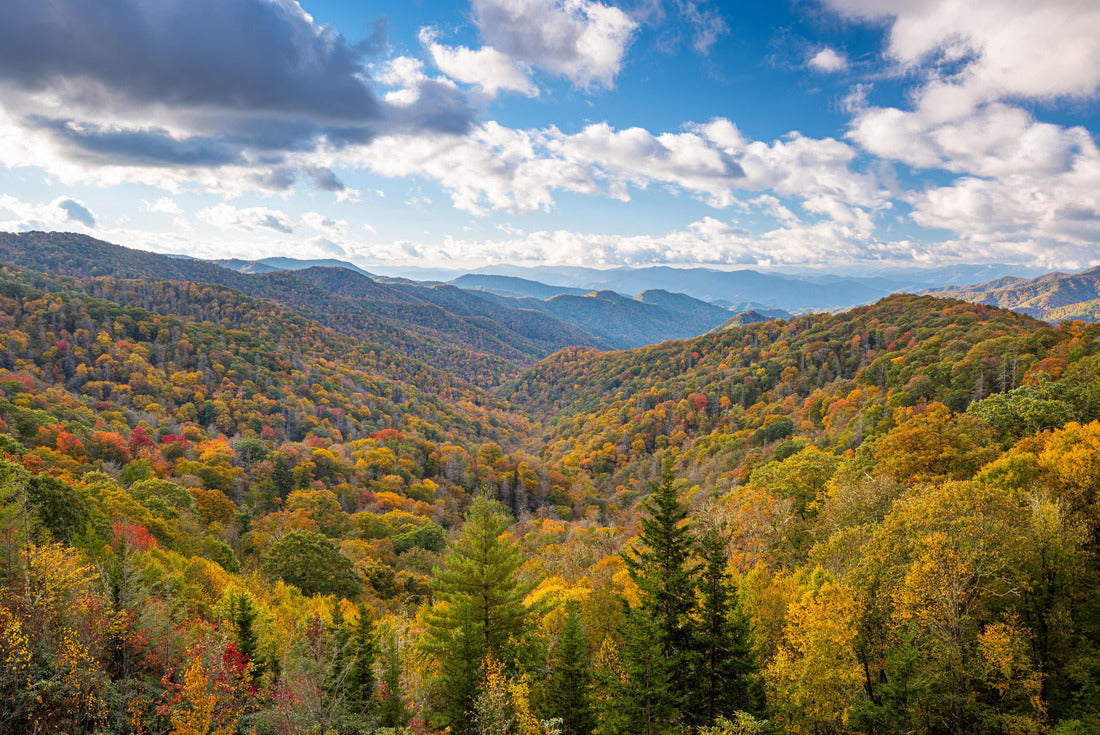 Great Smoky Mountains National Park, Tennessee, USA overlooking the Newfound Pass in autumn 2000pc Puzzle