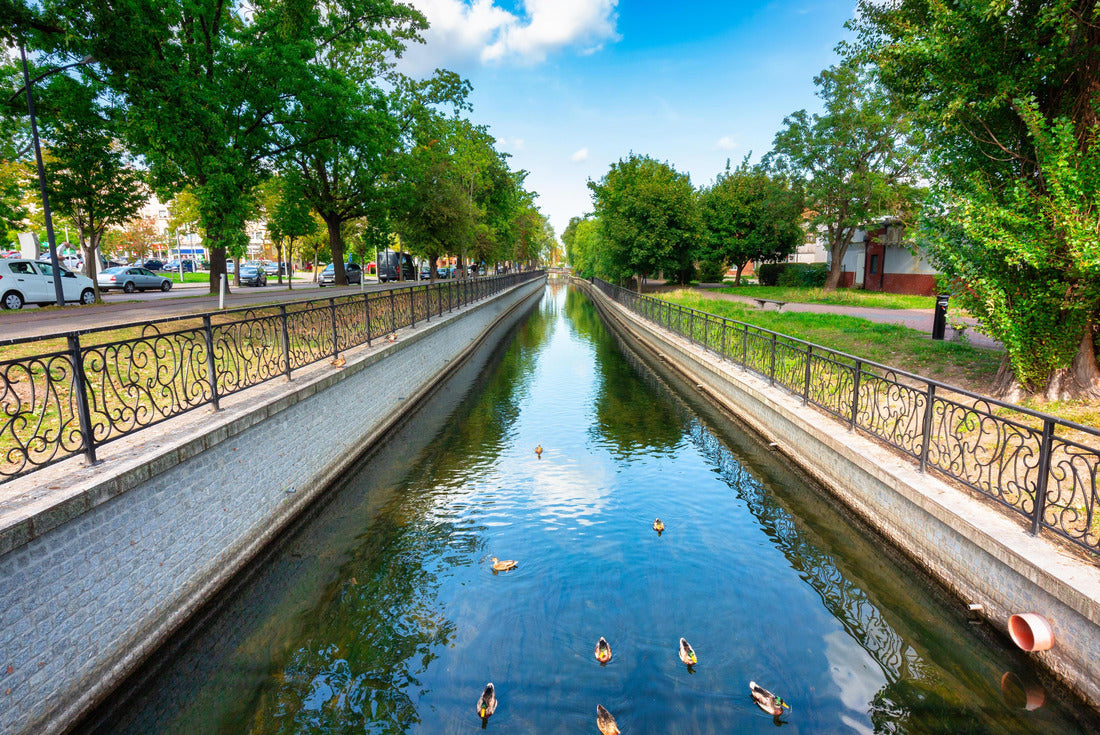 Noah Jigsaw Puzzle Beautiful landscape of the Radunia channel in Pruszcz Gdanski, Poland 2000 pieces