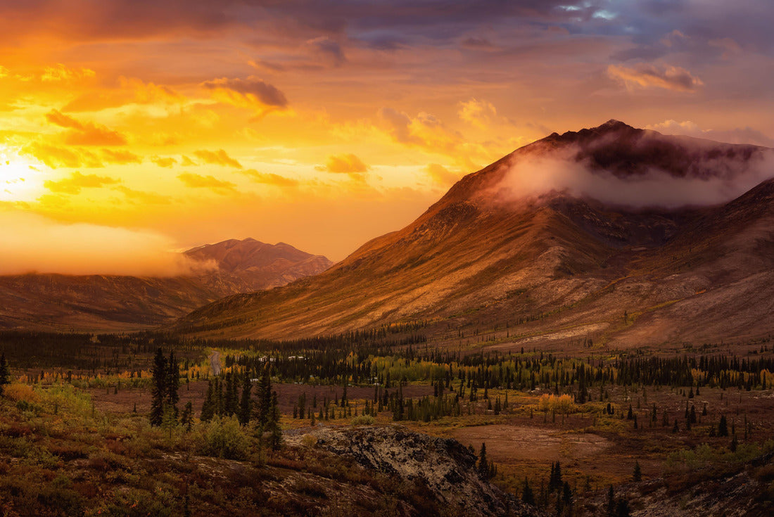 Beautiful colorful autumn forest and mountains in Tombstone. Sunset or Sunrise Sky Composite. Tombstone Territorial Park, Yukon, Canada 2000pc Puzzle
