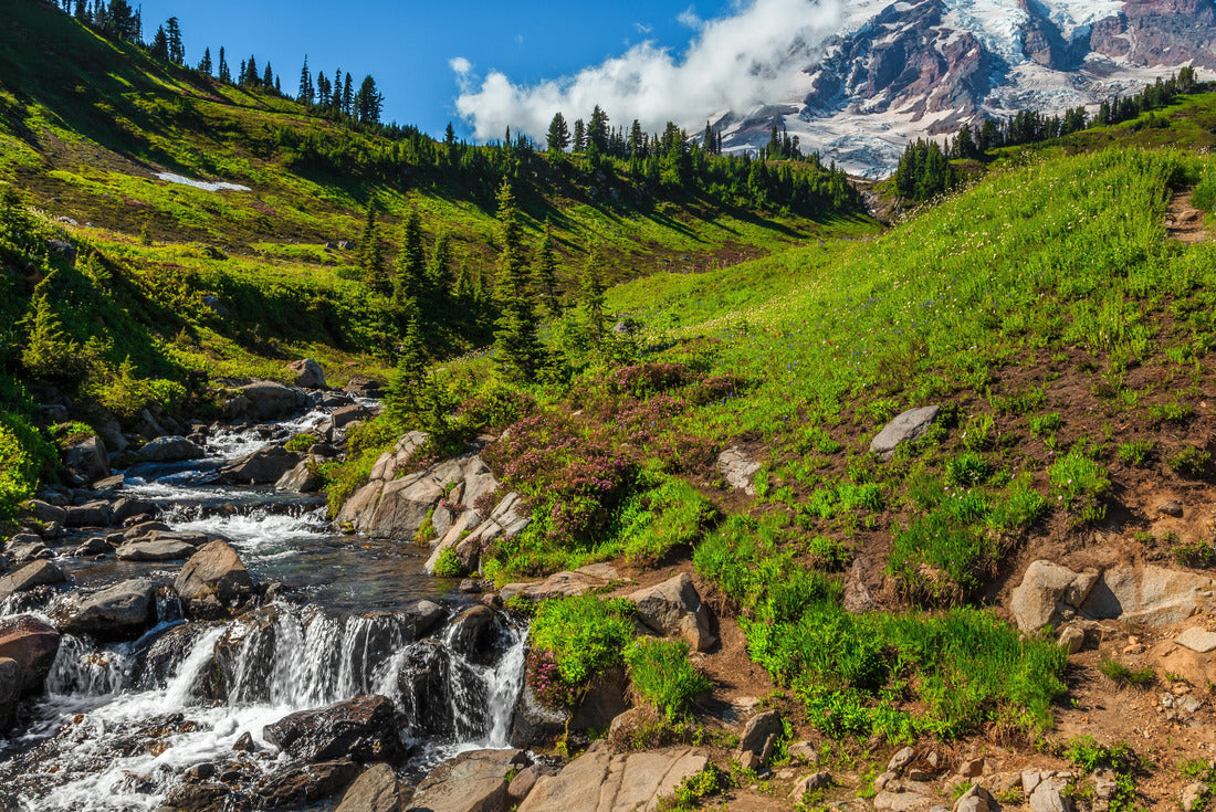 Mountain Rainier from the Skyline Trail in Paradise Valley, Mt Rainier National Park, Washington 2000pc Puzzle