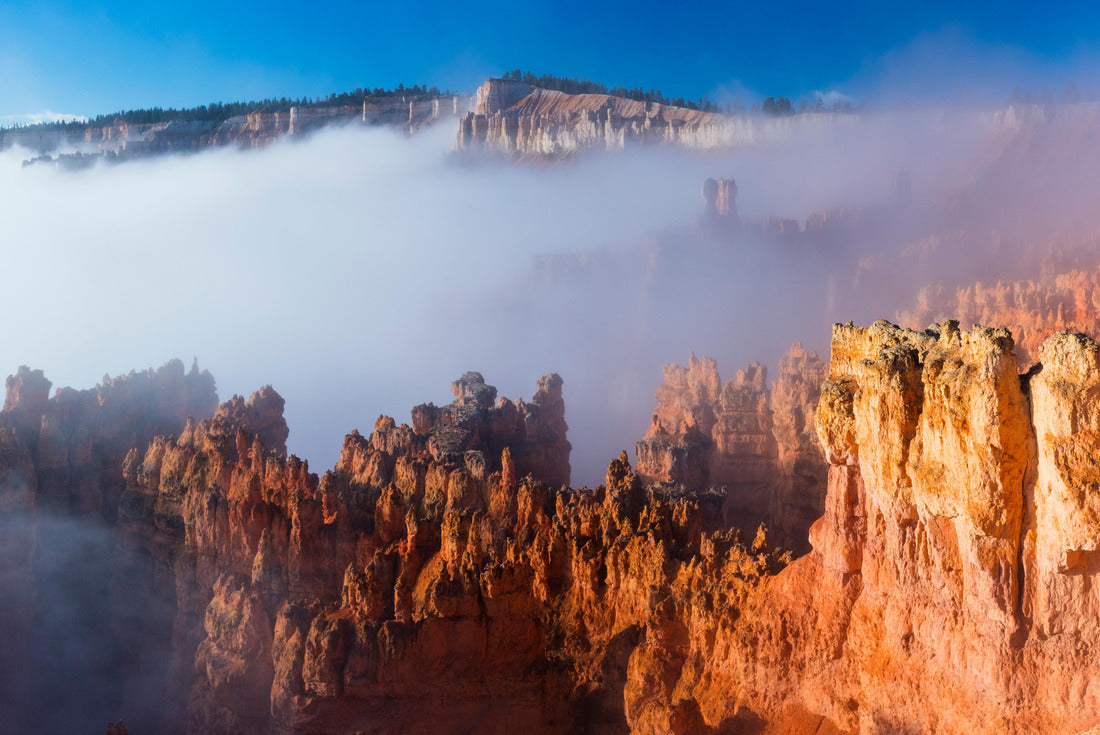 Noah Jigsaw Puzzle Fog in Bryce Canyon National Park, Utah, USA, America 2000 pieces