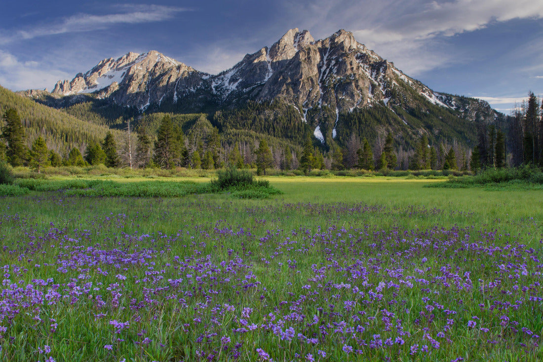 USA, Idaho. McGown Peak Sawtooth Mountains 2000pc Puzzle