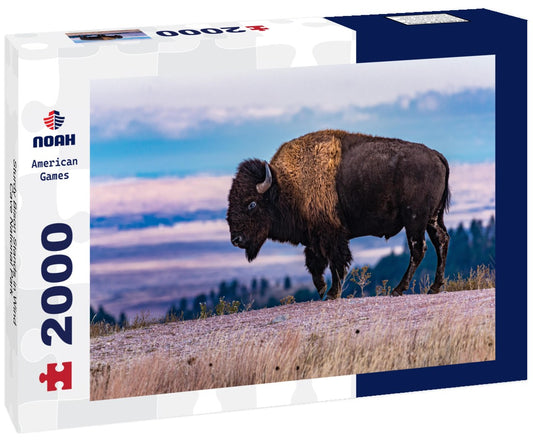 Noah Jigsaw Puzzle Sturdy Bison Stands in Wind Cave National Park 2000 pieces