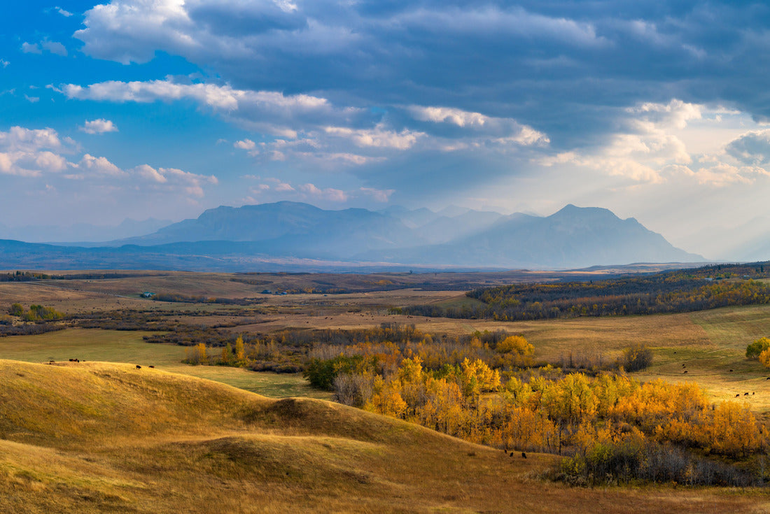 Great Plains and forest in beautiful fall. Sunlight through blue sky and clouds on mountains. Autumn color background. Waterton Scenic Spot, Waterton Lakes National Park, Alberta, Canada 2000pc Puzzle