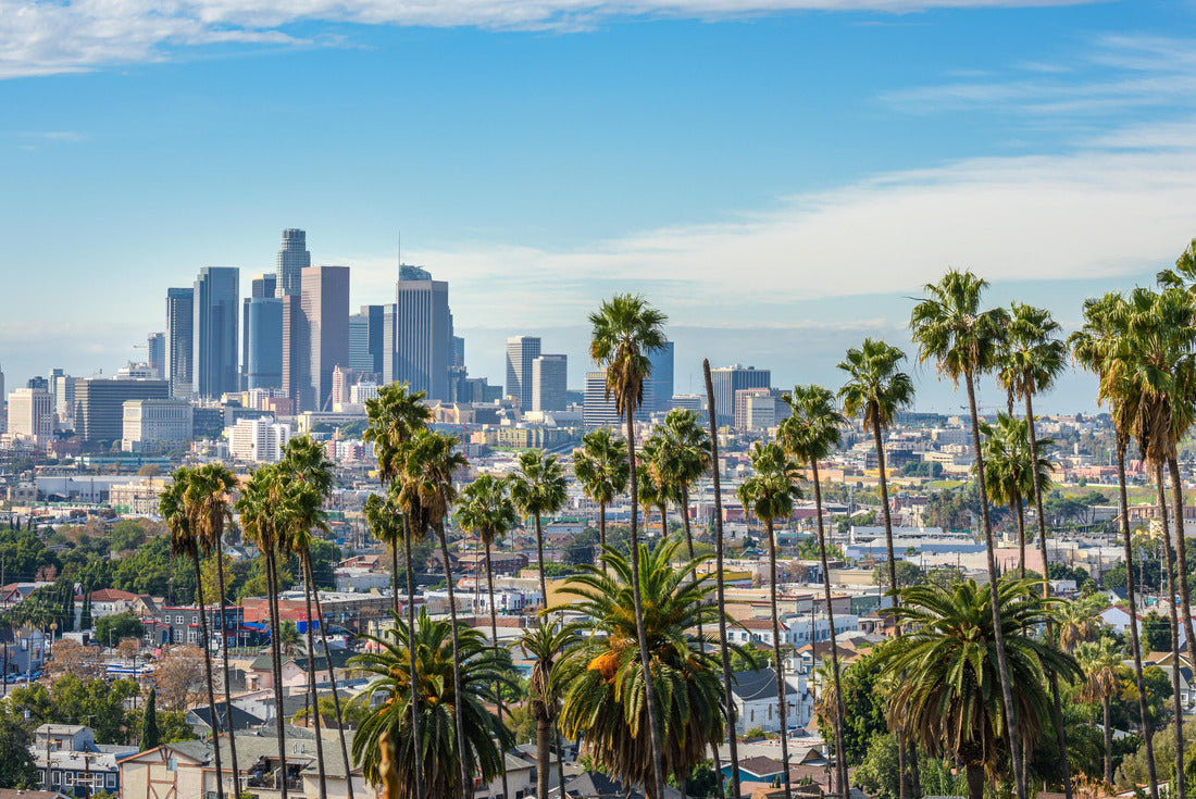 Cloudy day Los Angeles downtown skyline and palm trees in the foreground 2000pc Puzzle