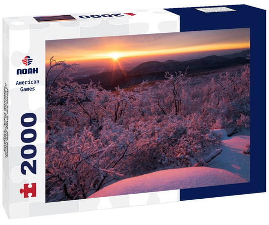 Noah Jigsaw Puzzle Rime ice lines the trees at sunrise in Shenandoah National Park, Virginia 2000 pieces