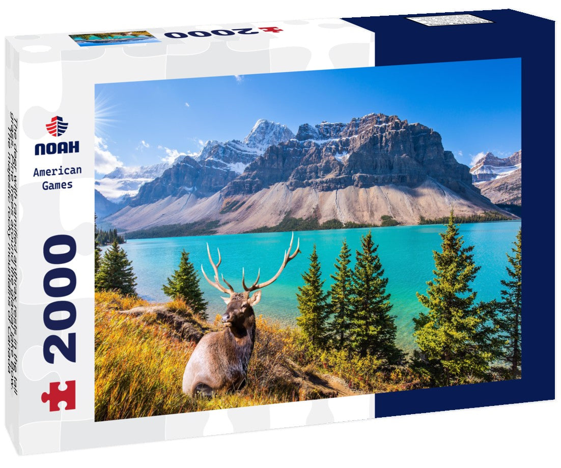 The deer with ramified anthrax rests in the tall grass. Pine trees around the glacial lake Bow. The majestic rocky mountains of Canada 2000pc Puzzle