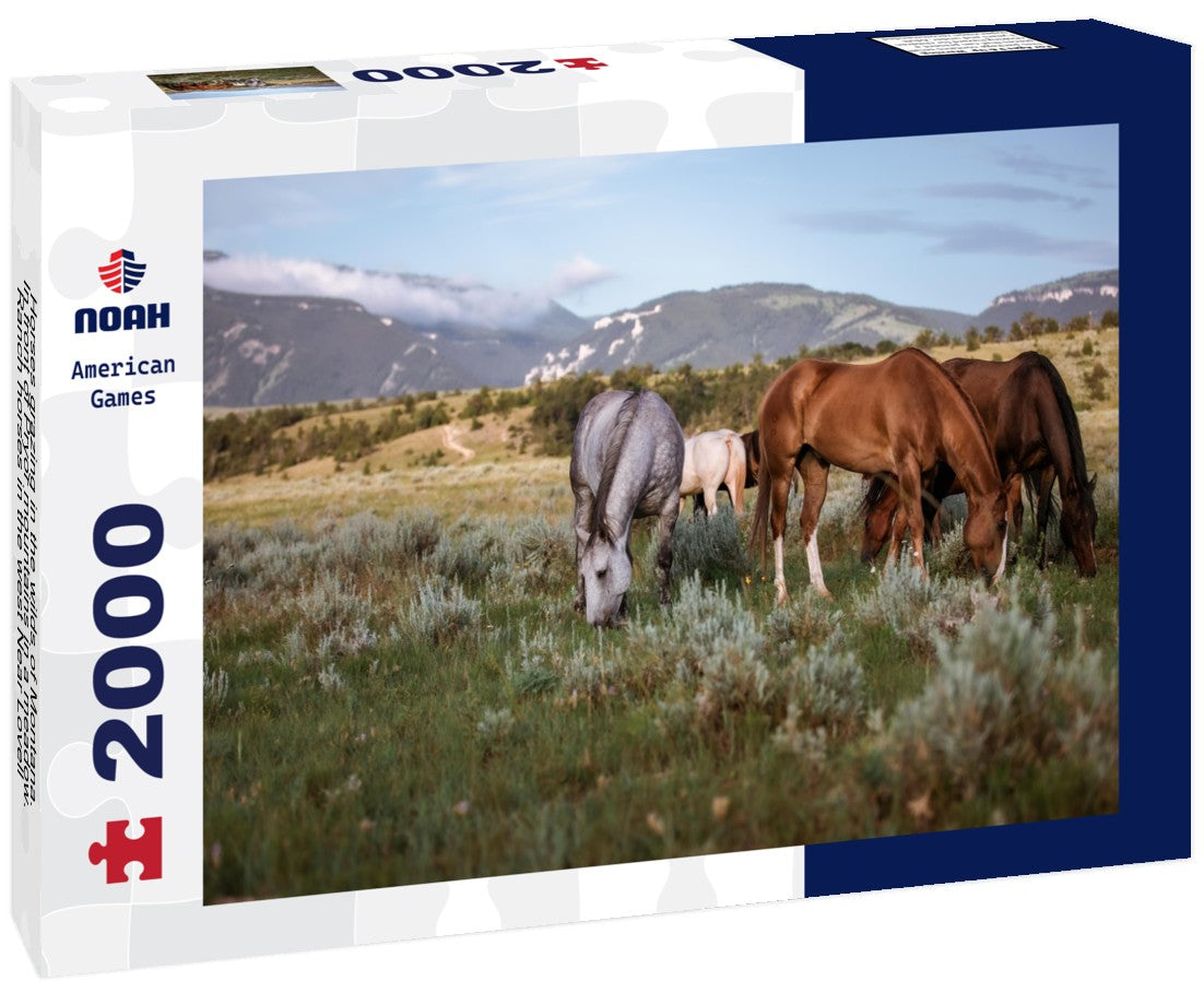 Horses grazing in the wilds of Montana. In front of Pryor mountains in a meadow. Ranch horses in the west Near Lovell Wyoming, and Billings Montana 2000pc Puzzle