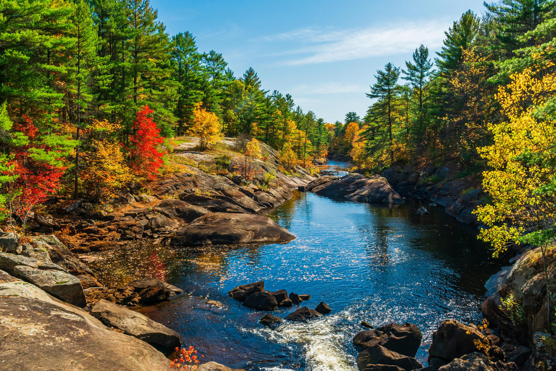 Queen Elizabeth II Wildlands Provincial Park Kawartha Lakes County Ontario Canada with beautiful, colorful forest with vibrant colors in the fall 2000pc Puzzle