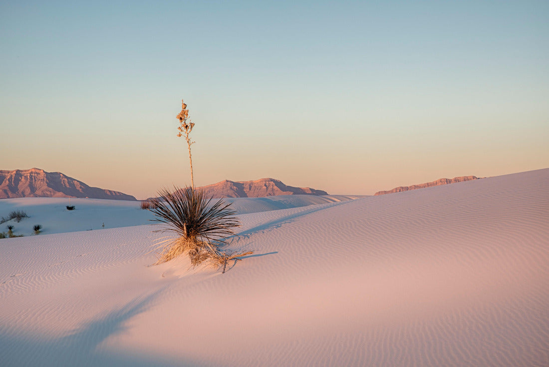 Adam's Needle in White Sands National Park 2000pc Puzzle