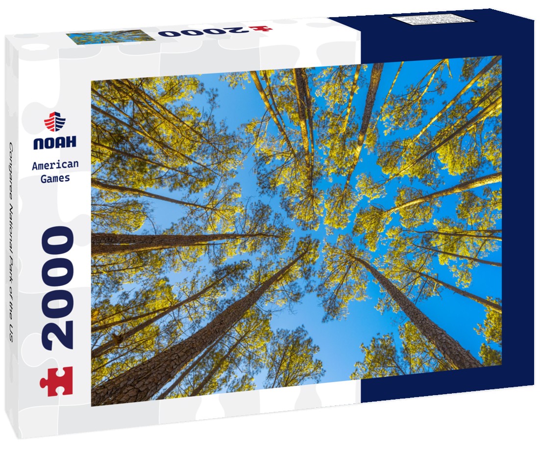 Noah Jigsaw Puzzle Congaree National Park of the US 2000 pieces