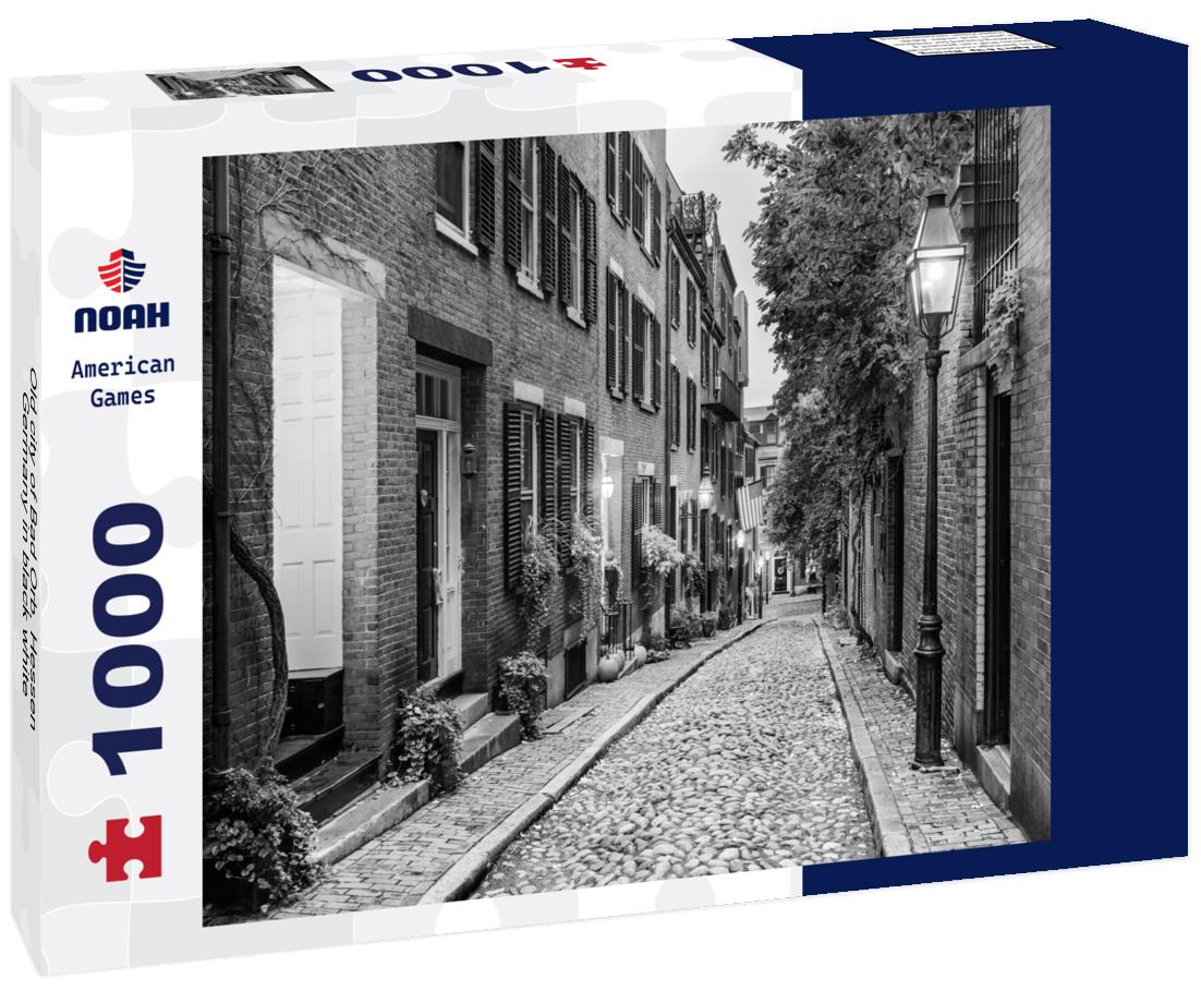 Noah Jigsaw Puzzle Old city of Bad Orb, Hessen, Germany in black white 1000 pieces