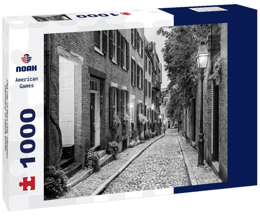 Noah Jigsaw Puzzle Old city of Bad Orb, Hessen, Germany in black white 1000 pieces