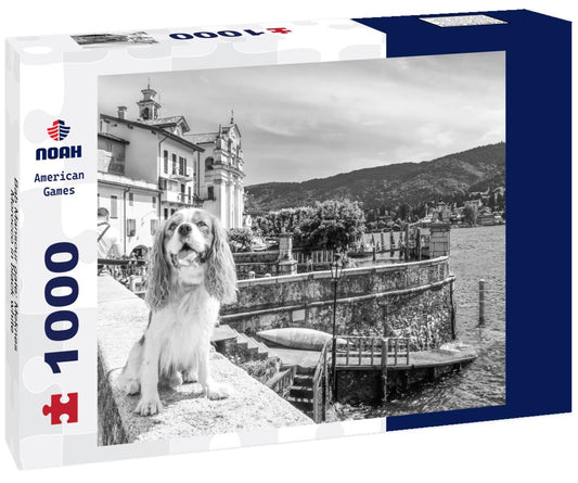 Noah Jigsaw Puzzle Bab Mansour gate: Meknes, Morocco in black white 1000 pieces