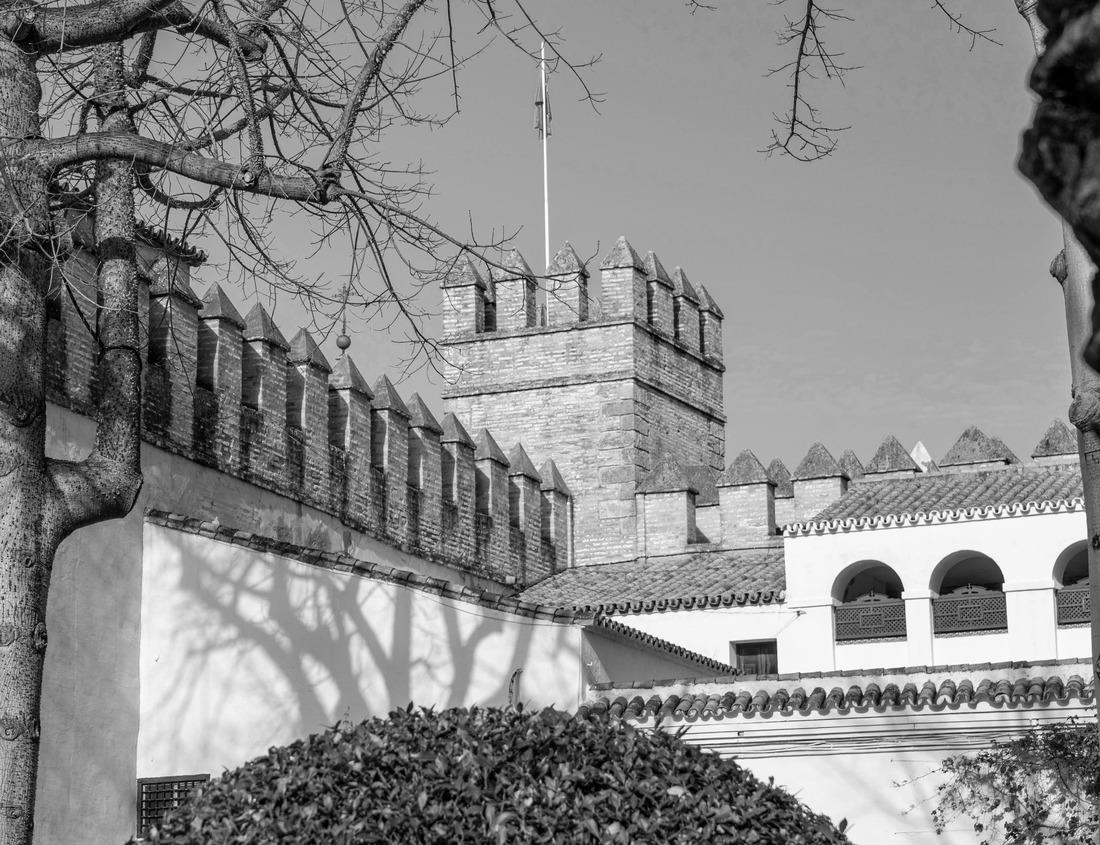 Noah Jigsaw Puzzle Prairies and Grasslands of Wind Cave National Park in South Dakota, USA in black white 1000 pieces