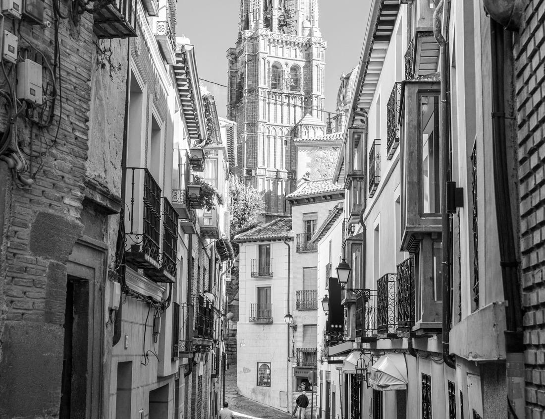 Noah Jigsaw Puzzle Aerial view of Borobudur temple at sunrise, Yogyakarta. Java, Indonesia in black white 1000 pieces