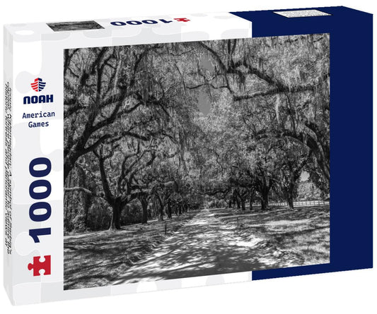Noah Jigsaw Puzzle iconic Kalemegdan: A symbol of Serbia's capital, where people gather to admire the historic fortress and panoramic views at full moon at night in black white 1000 pieces