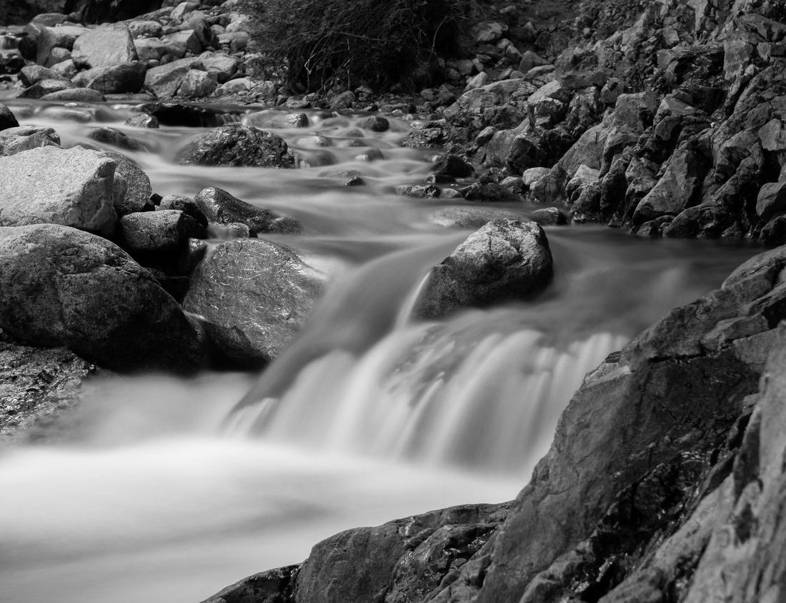 Winter along Williams River, Monongahela National Forest, West Virginia, USA 1000pc PuzzleBlack and White