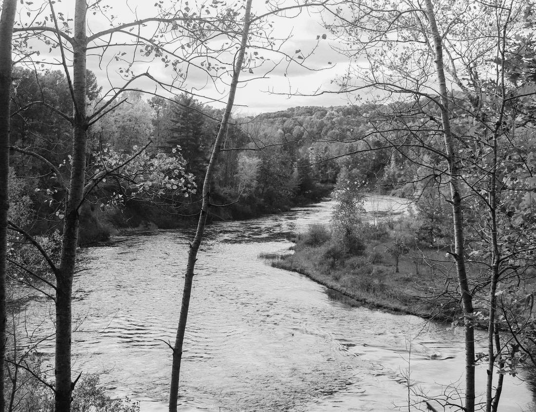Noah Jigsaw Puzzle Winding Road at Autumn in Door County of Wisconsin in black white 1000 pieces