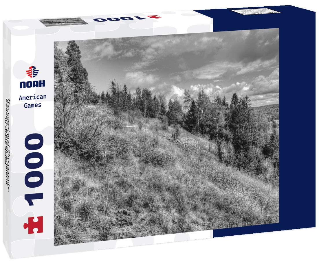 Noah Jigsaw Puzzle The coast and Thorncombe beacon, Dorset, England in black white 1000 pieces