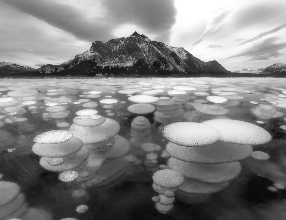 Noah Jigsaw Puzzle Feriolo, Lago Maggiore, Italian Lakes, Piedmont (Piemont), Italy in black white 1000 pieces