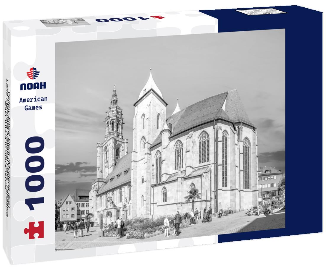 Noah Jigsaw Puzzle Yellow-billed Stork (Mycteria ibis), Lake Manyara National Park, Tanzania, East Africa in black white 1000 pieces