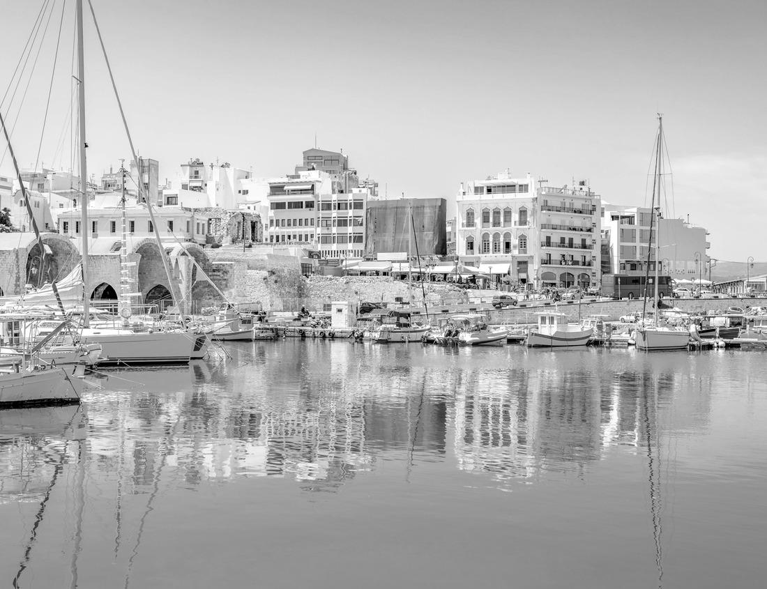 Noah Jigsaw Puzzle A family group of African savannah elephants (Loxodonta africana) migrates in Mikumi National Park in Tanzania. This elephant was tagged as endangered in black white 1000 pieces