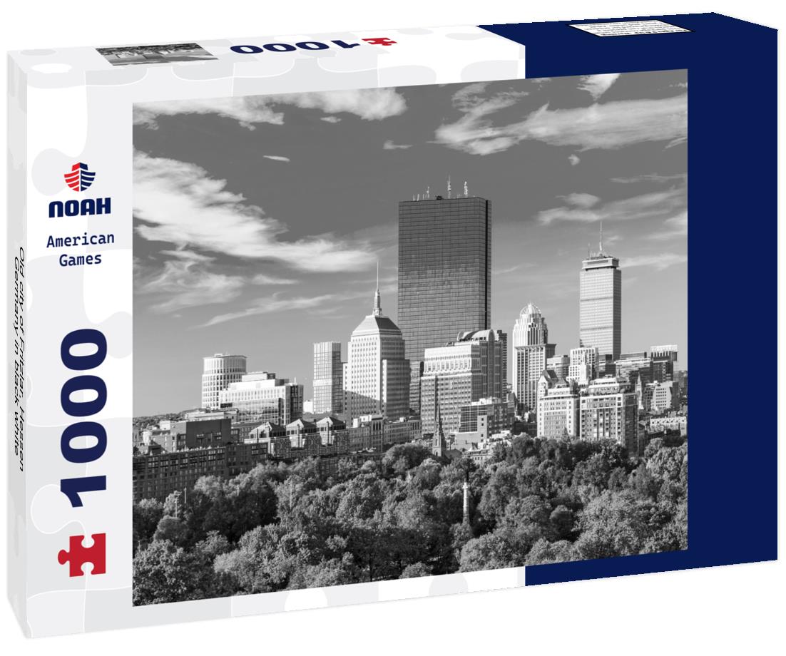 Noah Jigsaw Puzzle Old city of Fritzlar, Hessen, Germany in black white 1000 pieces