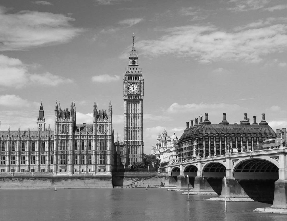 Noah Jigsaw Puzzle New River Gorge National Park and Preserve, West Virginia. Green tunnel made by rhododendron bushes. Endless Wall Trail and Diamond Point, Fern Creek Trail in black white 1000 pieces