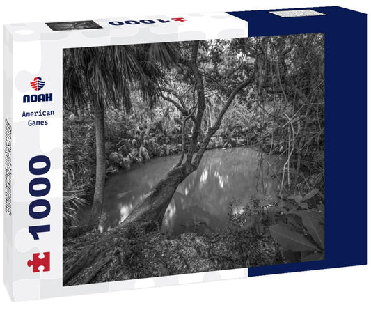 Noah Jigsaw Puzzle Old city of Hessenpark,Neu Anspach, Hessen, Germany in black white 1000 pieces