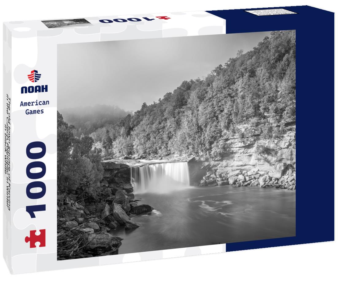 Noah Jigsaw Puzzle The old town square of Karvina in the Czech Republic in winter in black white 1000 pieces