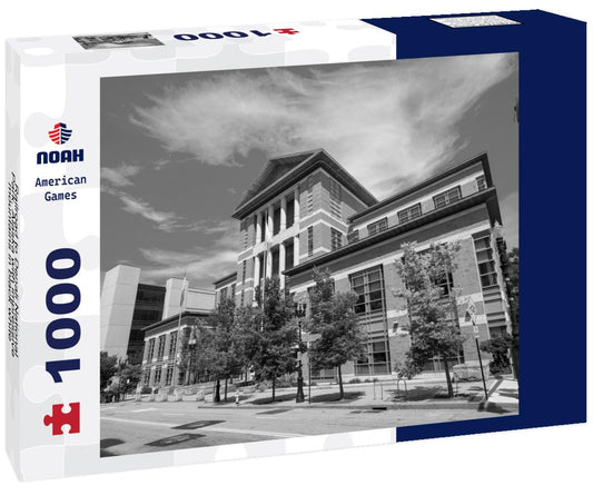 Noah Jigsaw Puzzle Railroad to Denali National Park, Alaska with impressive mountains in black white 1000 pieces