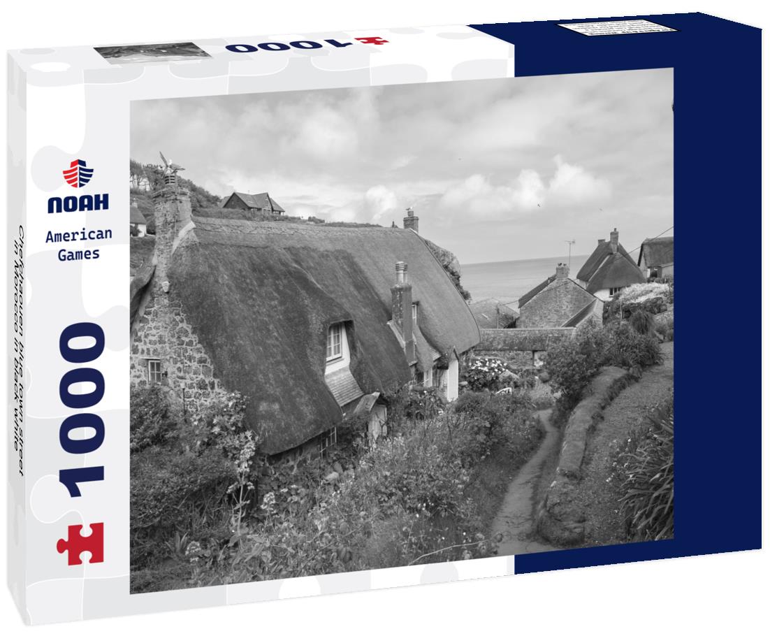 Noah Jigsaw Puzzle Chefchaouen blue town street in Morocco in black white 1000 pieces