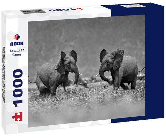 Noah Jigsaw Puzzle Booker T. Washington National Monument in Westlake Corner, Virginia, USA in black white 1000 pieces